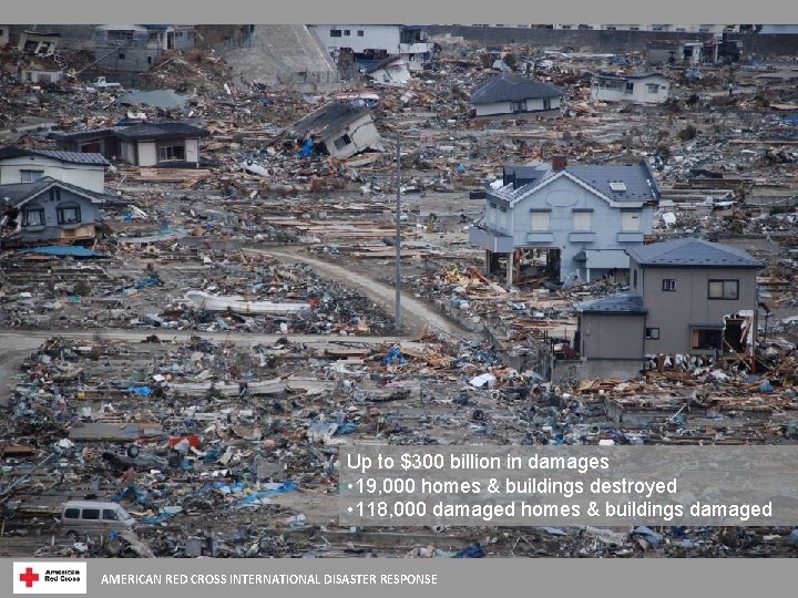 Up to $300 billion in damages • 19, 000 homes & buildings destroyed •