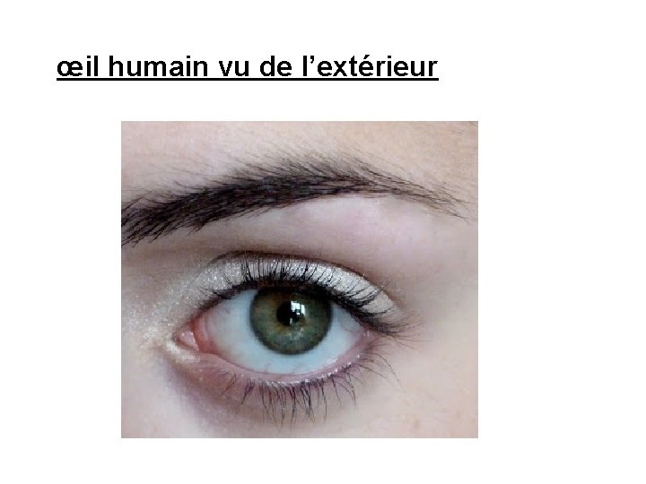 œil humain vu de l’extérieur 