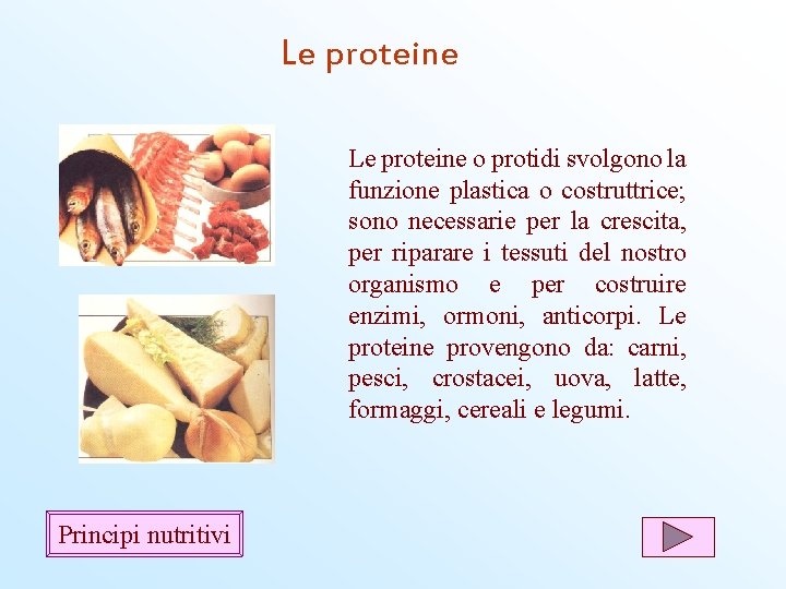 Le proteine o protidi svolgono la funzione plastica o costruttrice; sono necessarie per la