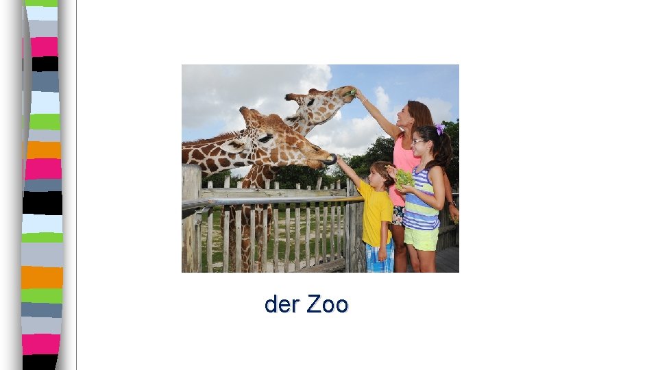 der Zoo 