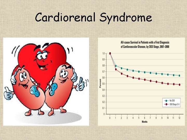 Cardiorenal Syndrome 