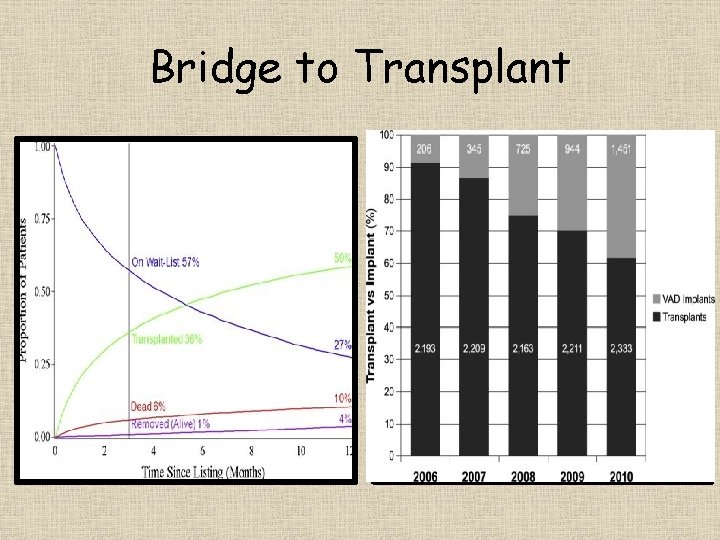 Bridge to Transplant 