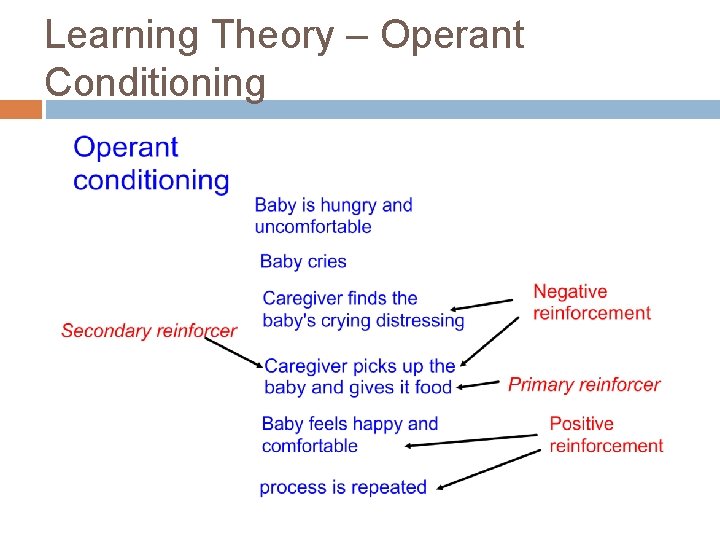 Learning Theory – Operant Conditioning 