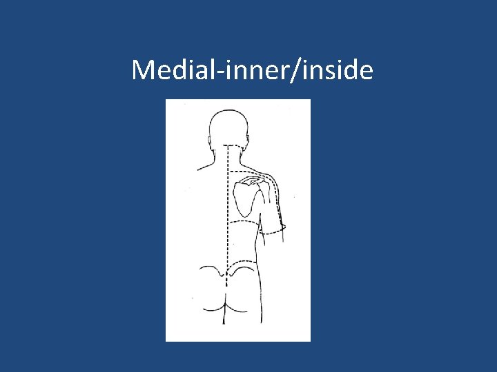 Medial-inner/inside 