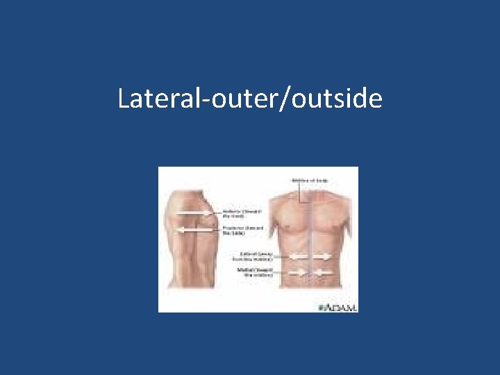 Lateral-outer/outside 