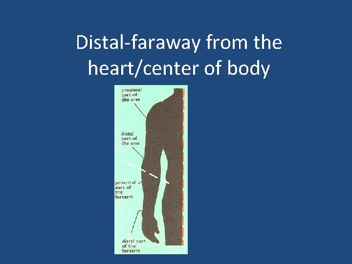 Distal-faraway from the heart/center of body 