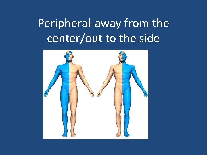 Peripheral-away from the center/out to the side 