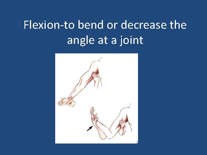 Flexion-to bend or decrease the angle at a joint 