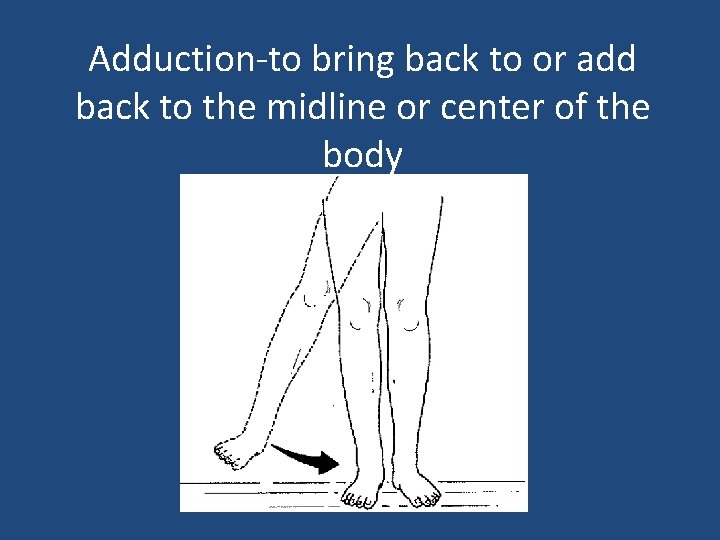 Adduction-to bring back to or add back to the midline or center of the