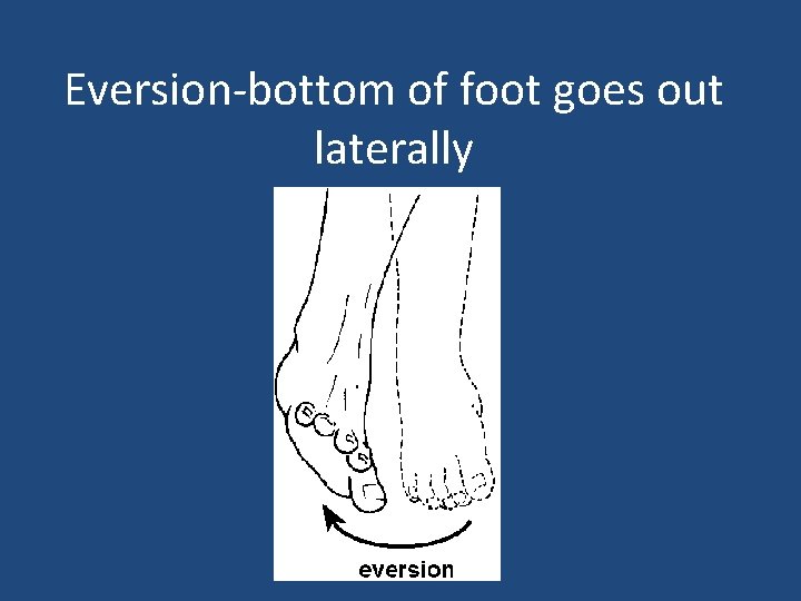 Eversion-bottom of foot goes out laterally 