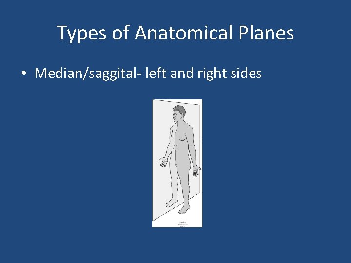Types of Anatomical Planes • Median/saggital- left and right sides 