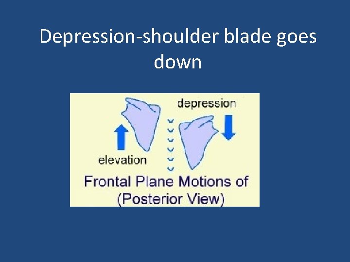 Depression-shoulder blade goes down 