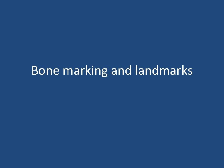 Bone marking and landmarks 