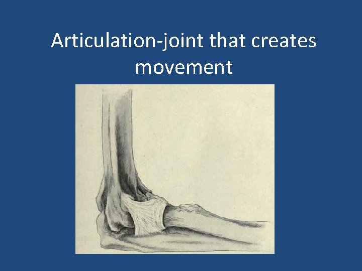 Articulation-joint that creates movement 