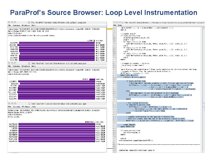 Para. Prof’s Source Browser: Loop Level Instrumentation 