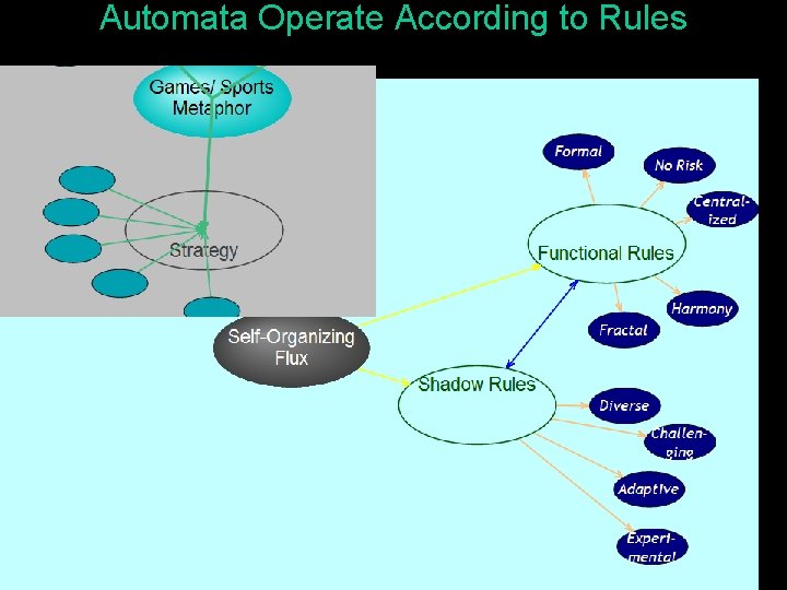 Automata Operate According to Rules 