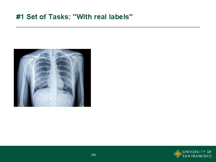 #1 Set of Tasks: "With real labels" MNA MASTER OF NONPROFIT ADMINISTRATION 