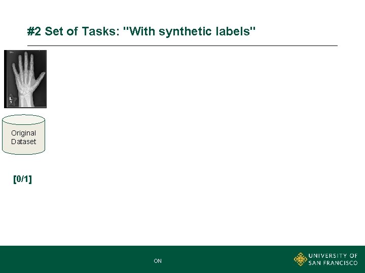 #2 Set of Tasks: "With synthetic labels" Original Dataset [0/1] MNA MASTER OF NONPROFIT