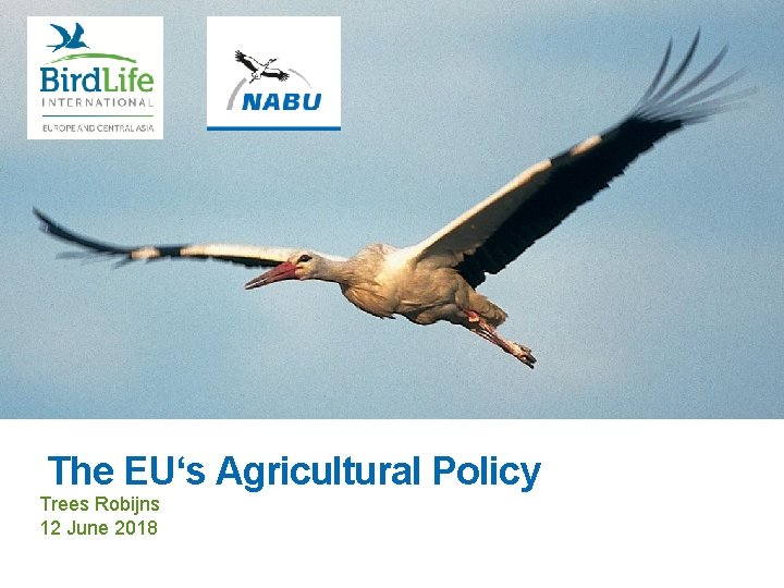 The EU‘s Agricultural Policy Trees Robijns 12 June 2018 