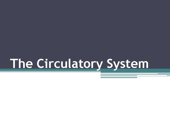 The Circulatory System 