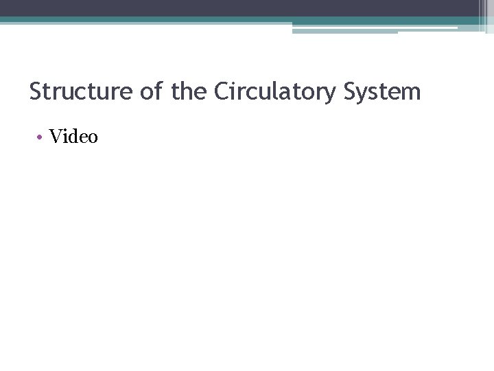Structure of the Circulatory System • Video 