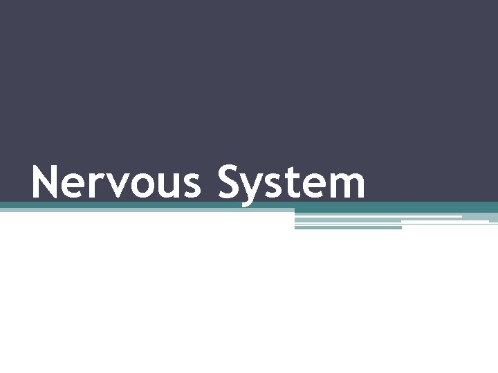 Nervous System 