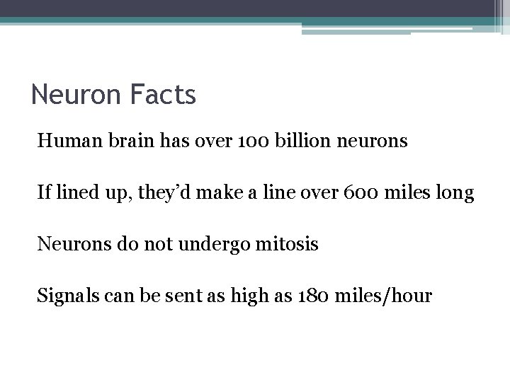 Neuron Facts Human brain has over 100 billion neurons If lined up, they’d make