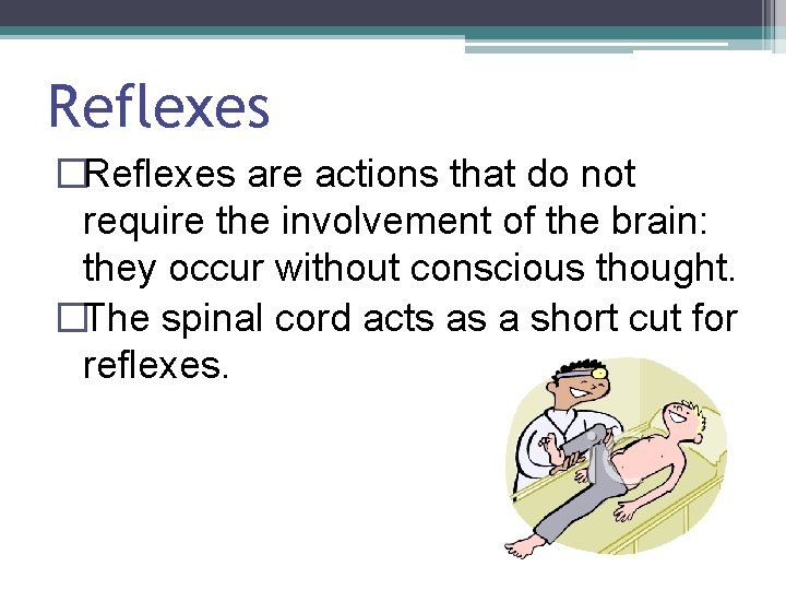Reflexes �Reflexes are actions that do not require the involvement of the brain: they