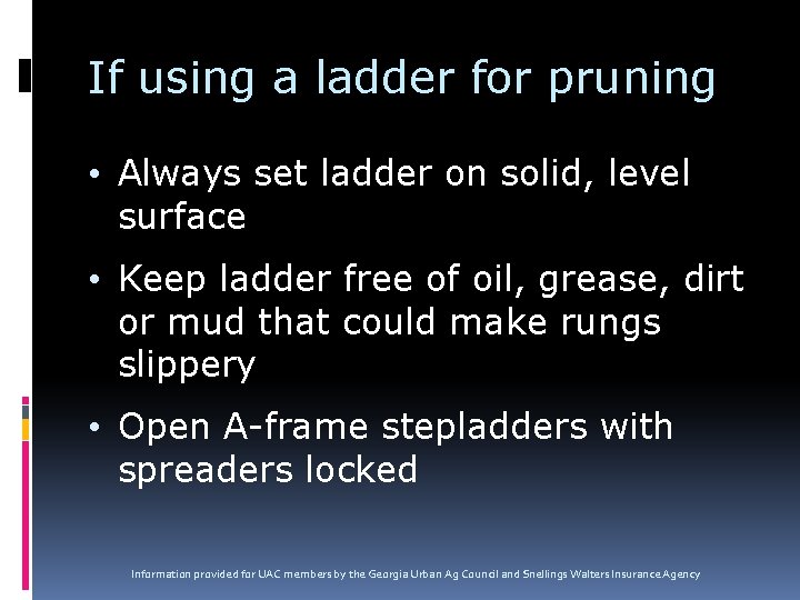 If using a ladder for pruning • Always set ladder on solid, level surface
