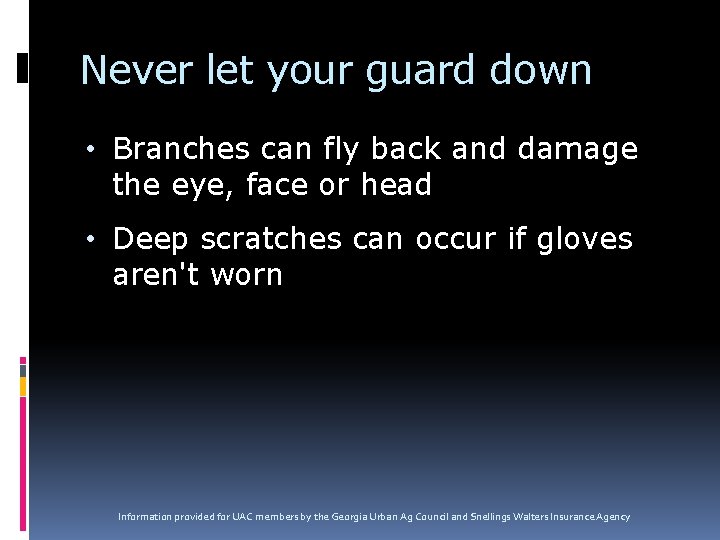Never let your guard down • Branches can fly back and damage the eye,