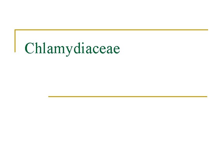 Chlamydiaceae 