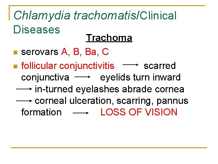 Chlamydia trachomatis/Clinical Diseases n n Trachoma serovars A, B, Ba, C follicular conjunctivitis scarred