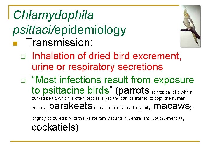 Chlamydophila psittaci/epidemiology n Transmission: q q Inhalation of dried bird excrement, urine or respiratory