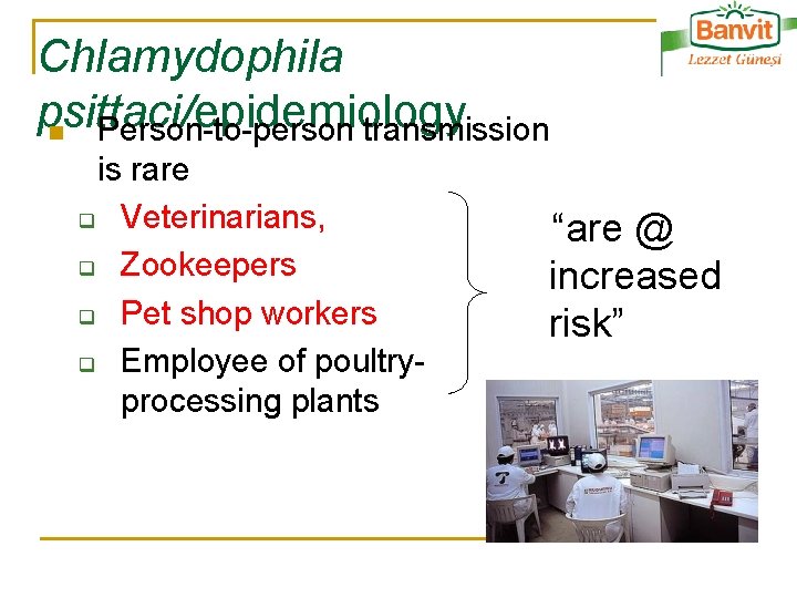 Chlamydophila psittaci/epidemiology n Person-to-person transmission is rare q Veterinarians, q Zookeepers q Pet shop