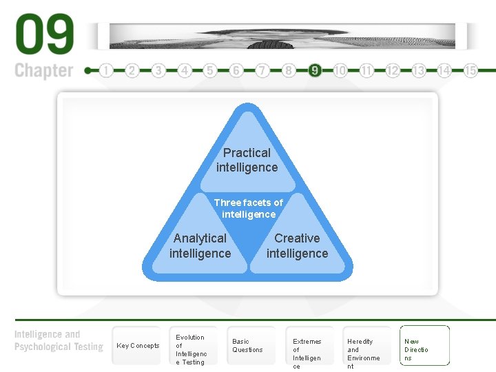Key Finding Intelligence Key Concepts Evolution of Intelligence Testing Basic Questions