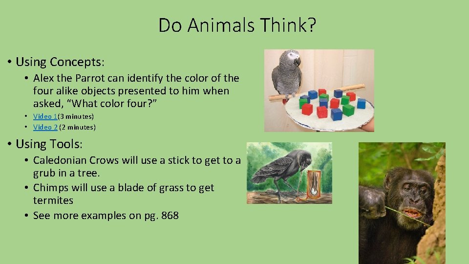 Do Animals Think? • Using Concepts: • Alex the Parrot can identify the color