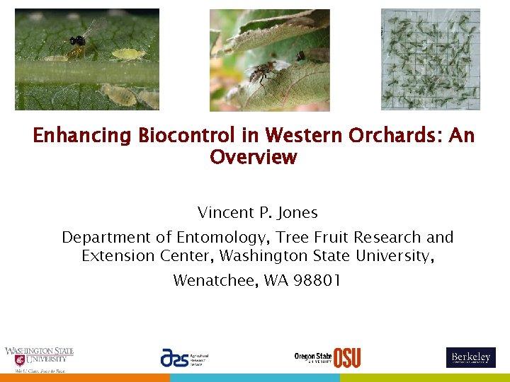 Enhancing Biocontrol in Western Orchards: An Overview Vincent P. Jones Department of Entomology, Tree