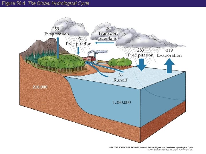 Figure 58. 4 The Global Hydrological Cycle 