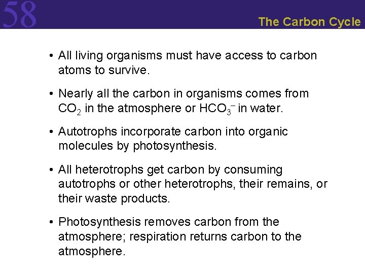 58 The Carbon Cycle • All living organisms must have access to carbon atoms