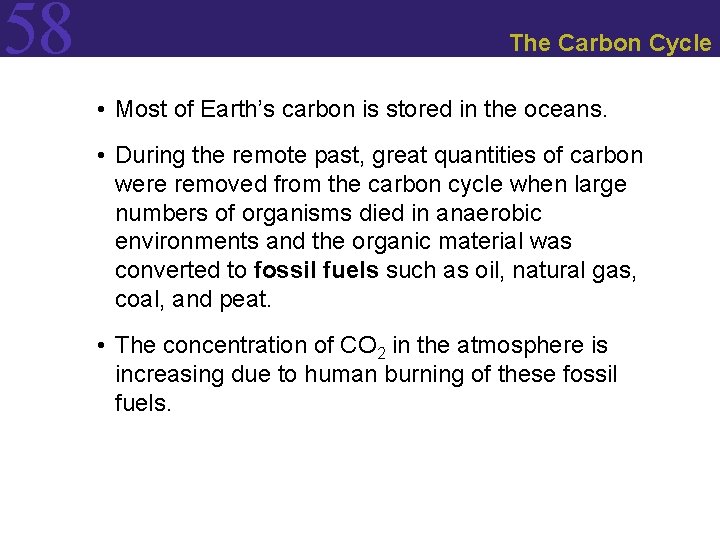 58 The Carbon Cycle • Most of Earth’s carbon is stored in the oceans.