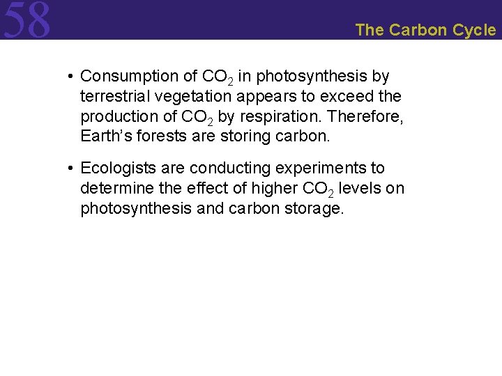 58 The Carbon Cycle • Consumption of CO 2 in photosynthesis by terrestrial vegetation