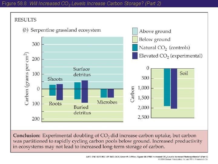 Figure 58. 8 Will Increased CO 2 Levels Increase Carbon Storage? (Part 2) 