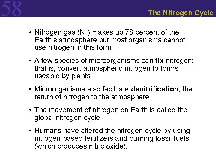58 The Nitrogen Cycle • Nitrogen gas (N 2) makes up 78 percent of