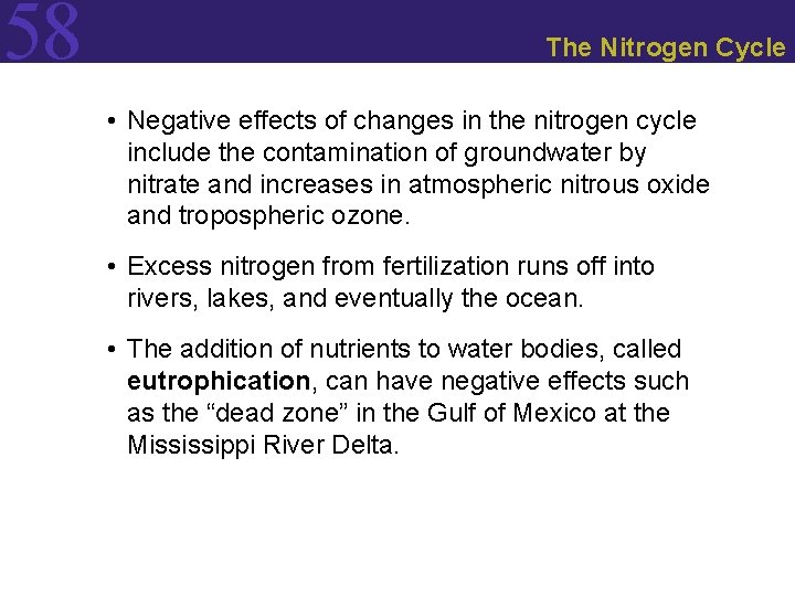 58 The Nitrogen Cycle • Negative effects of changes in the nitrogen cycle include