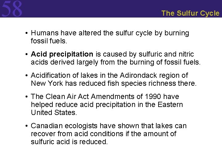 58 The Sulfur Cycle • Humans have altered the sulfur cycle by burning fossil
