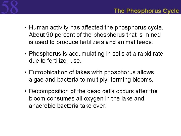 58 The Phosphorus Cycle • Human activity has affected the phosphorus cycle. About 90