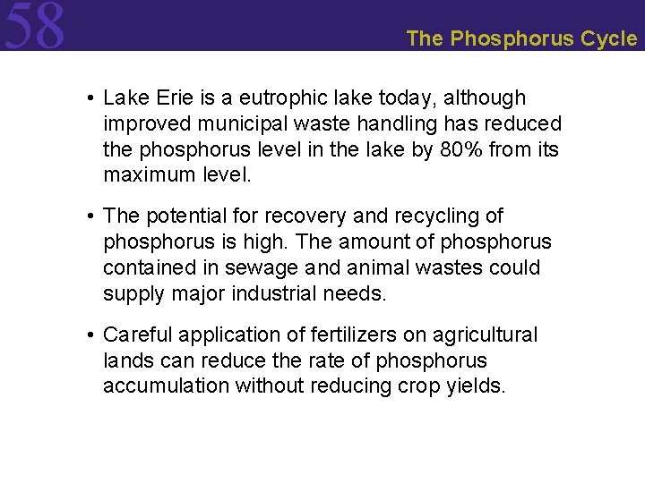 58 The Phosphorus Cycle • Lake Erie is a eutrophic lake today, although improved
