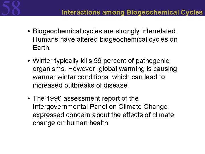 58 Interactions among Biogeochemical Cycles • Biogeochemical cycles are strongly interrelated. Humans have altered