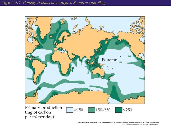 Figure 58. 2 Primary Production Is High in Zones of Upwelling 