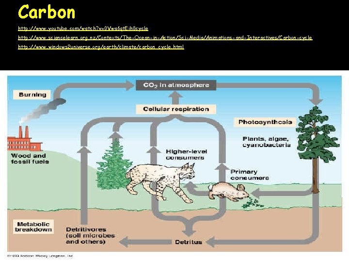 Carbon http: //www. youtube. com/watch? v=0 Vwa 6 qt. Eih 8 cycle http: //www.